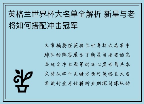 英格兰世界杯大名单全解析 新星与老将如何搭配冲击冠军