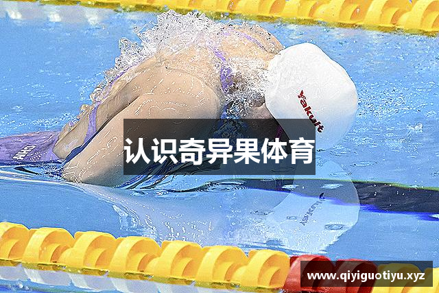 认识奇异果体育